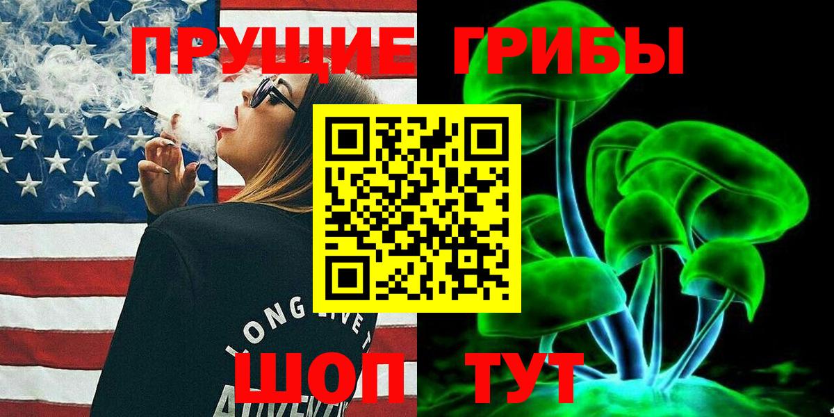 Галлюциногенные грибы Psilocybe Топки