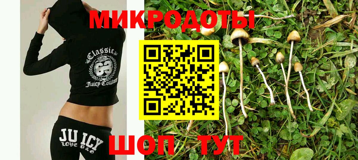Топки  Псилоцибиновые грибы Magic Shrooms  магазин  наркотиков  Вход с VPN 