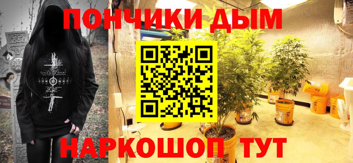 Бошки марихуана семена  Канабис Ganja  Конопля сатива  Топки  Вход с VPN 